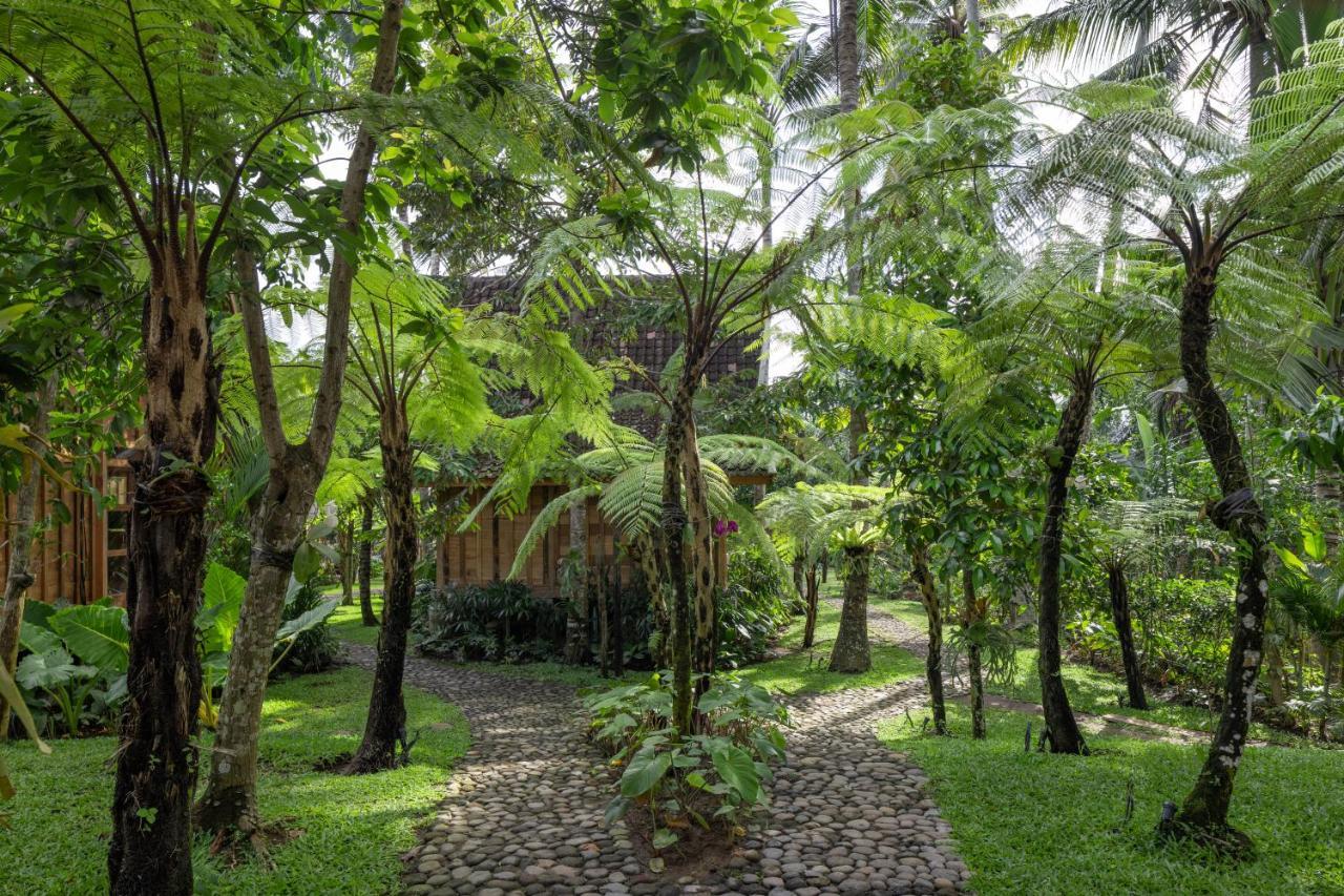 Rumah Kayu Resort Ουμπούντ Εξωτερικό φωτογραφία